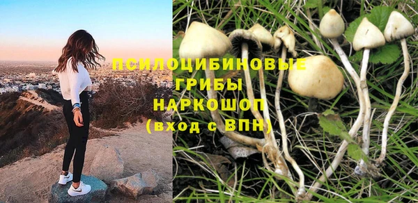 прущая мука Россошь