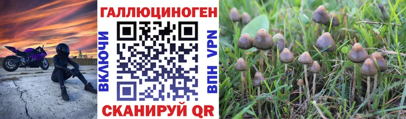 Псилоцибиновые грибы Cubensis  цены наркотик  Невельск 